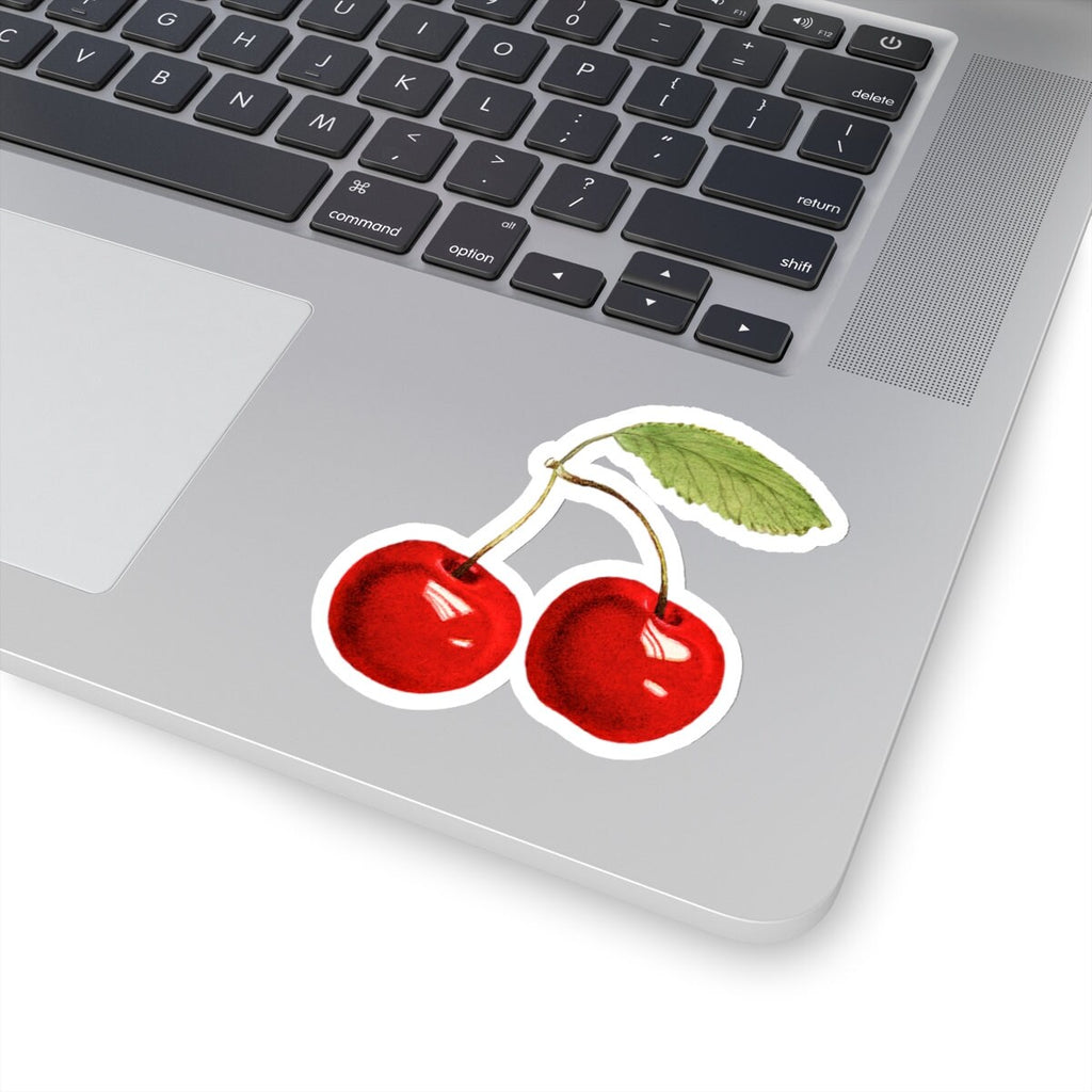 Vintage Red Cherries Botanical Vinyl Sticker – USDA Fruit Art