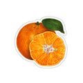 Vintage watercolor orange and tangerine vinyl sticker featuring botanical citrus illustration