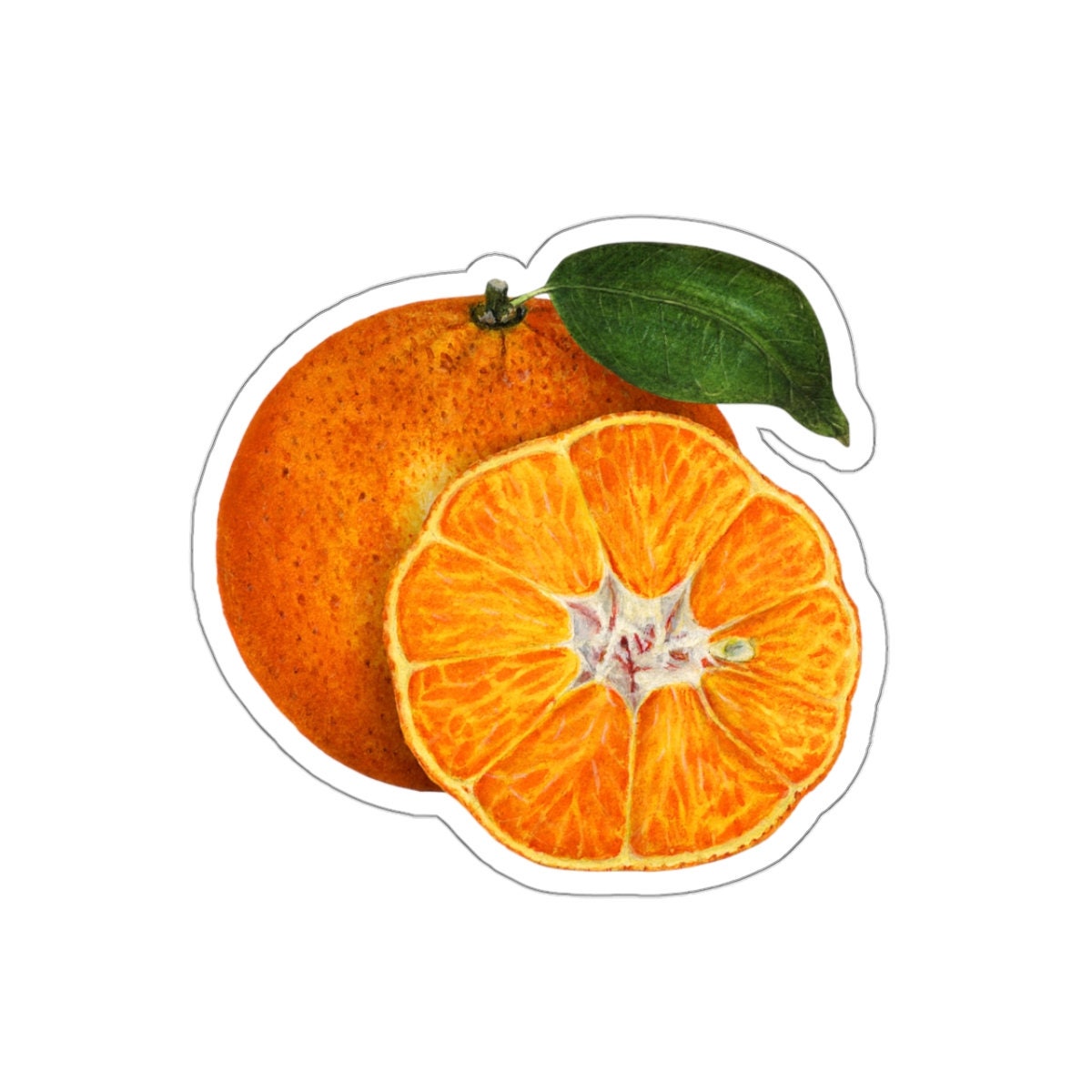 Orange Tangerine Sticker, Vintage Watercolor Drawing Decal, Fruit Art Decor