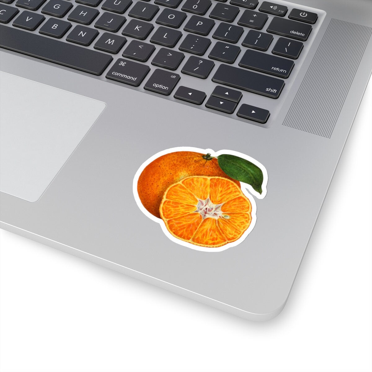 Orange Tangerine Sticker, Vintage Watercolor Drawing Decal, Fruit Art Decor