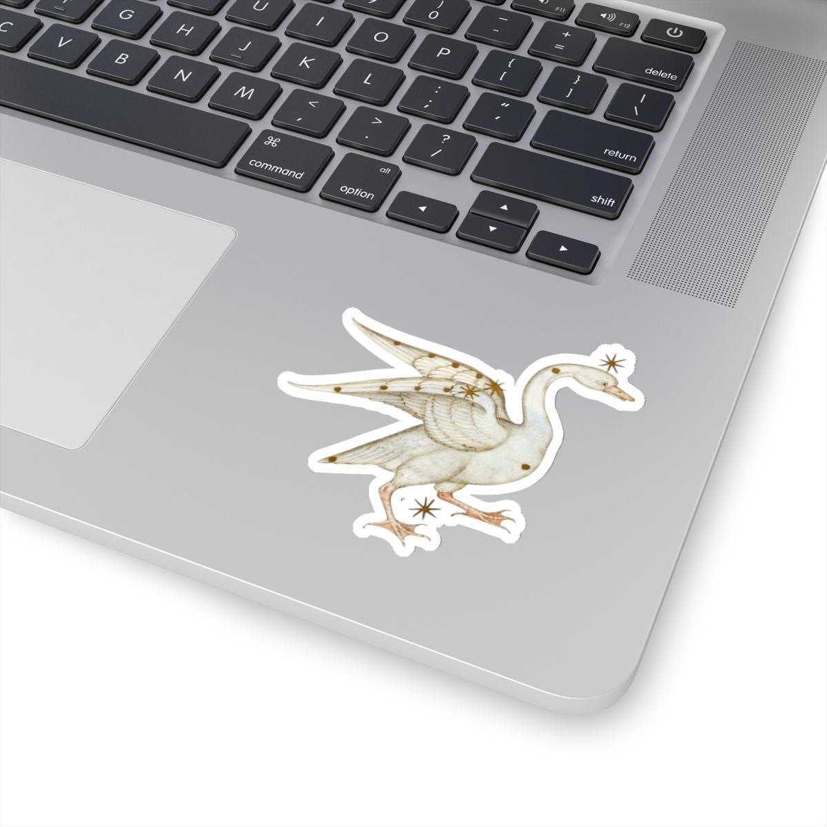 Medieval Art Swan Sticker, Mystical Magical Aesthetic, Cool Decal for Laptops, Water Bottles, Antique Gift