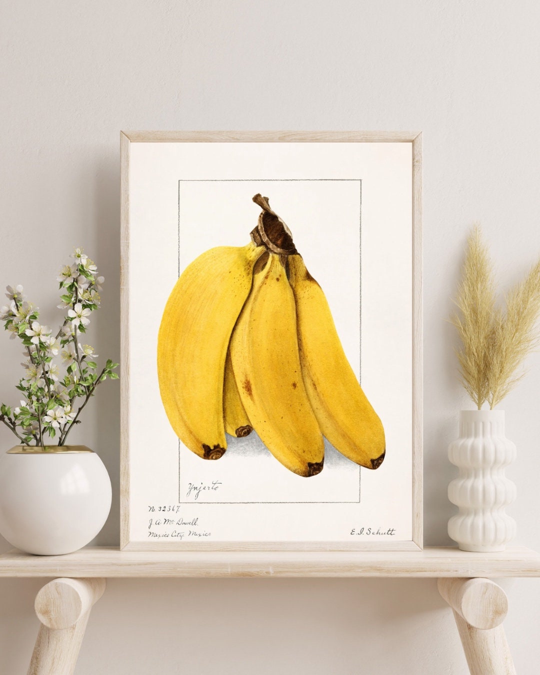 Bananas Watercolor Art Print, Vintage Pomological Poster, Perfect for Cafes and Kitchen Decor