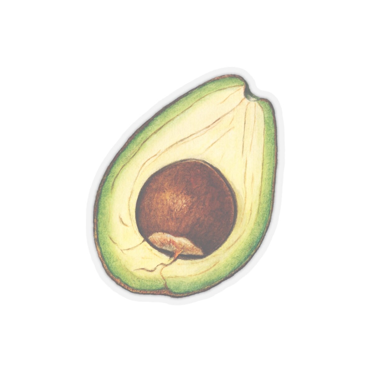Avocado Sticker, Vintage Watercolor Decal, Fruit Art Drawing, Food themed Adhesive Accessory, Gift for Avocado Lovers