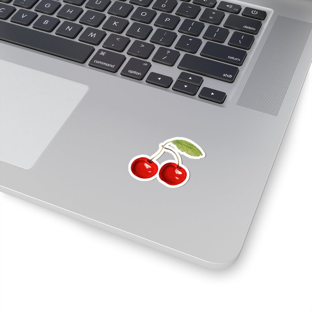 Vintage Red Cherries Botanical Vinyl Sticker – USDA Fruit Art