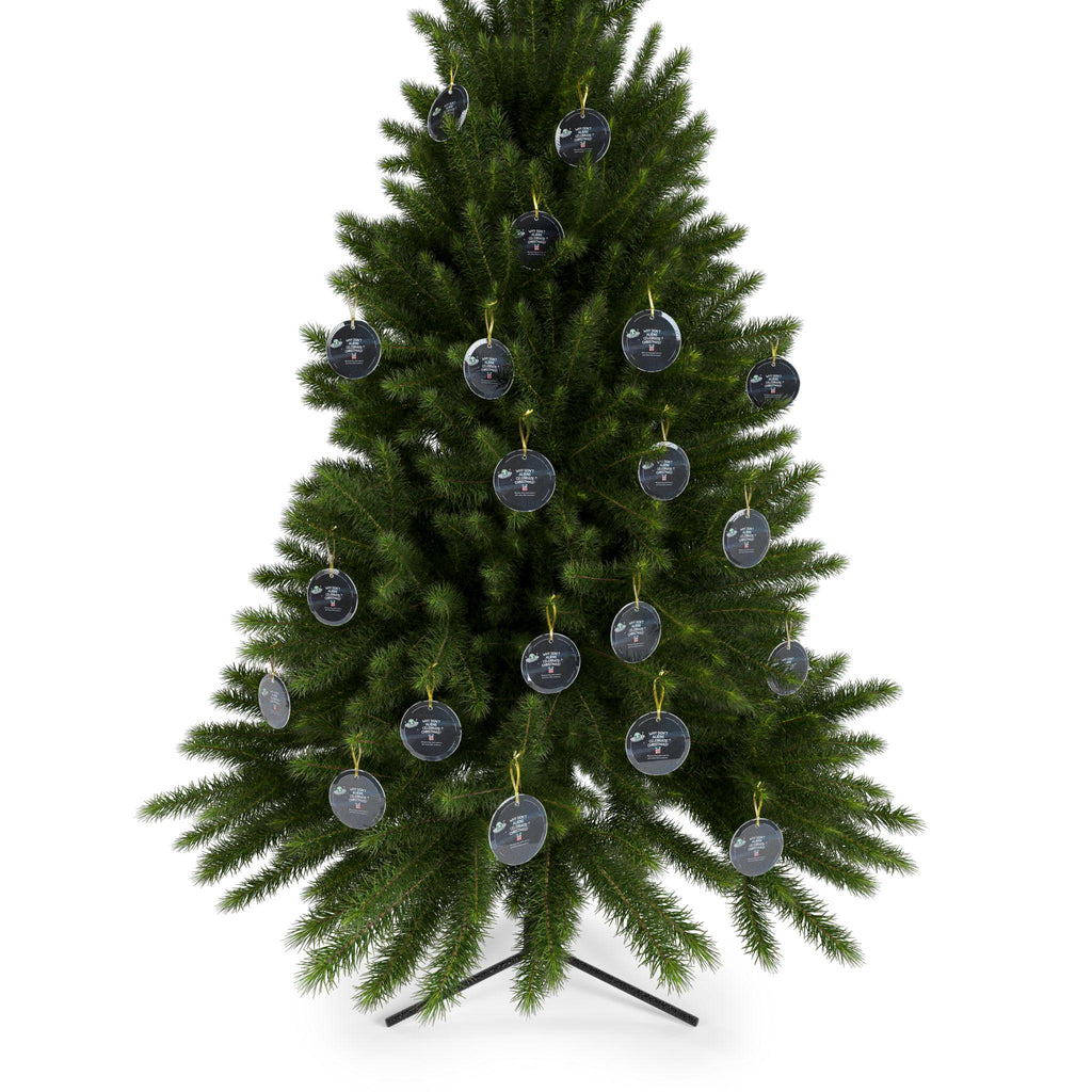 Funny UFO Alien Christmas Glass Ornament, Dad's Joke Holiday Decor, Why Don't Aliens Celebrate Christmas? Gift for Friends and Kids