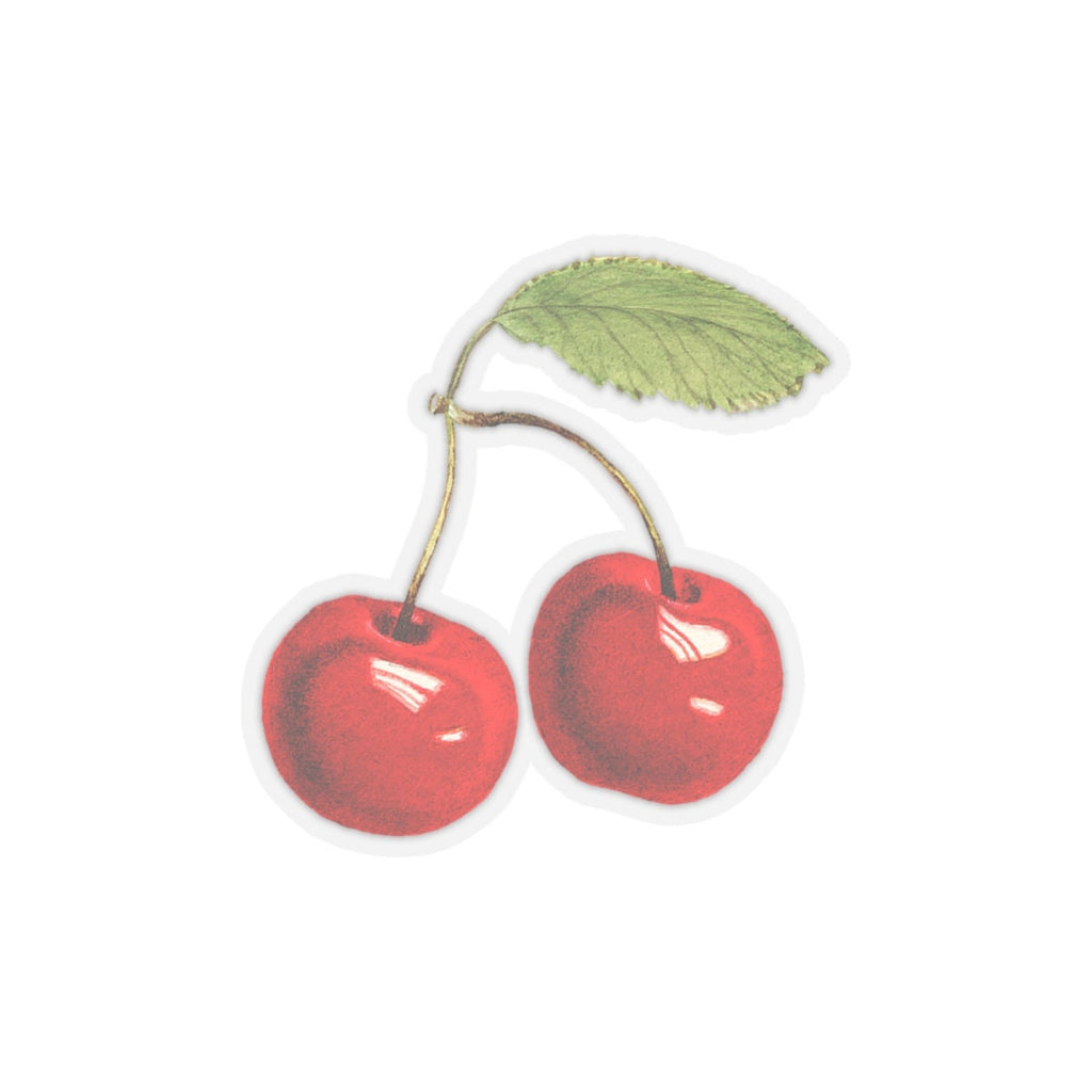 Vintage Red Cherries Botanical Vinyl Sticker – USDA Fruit Art