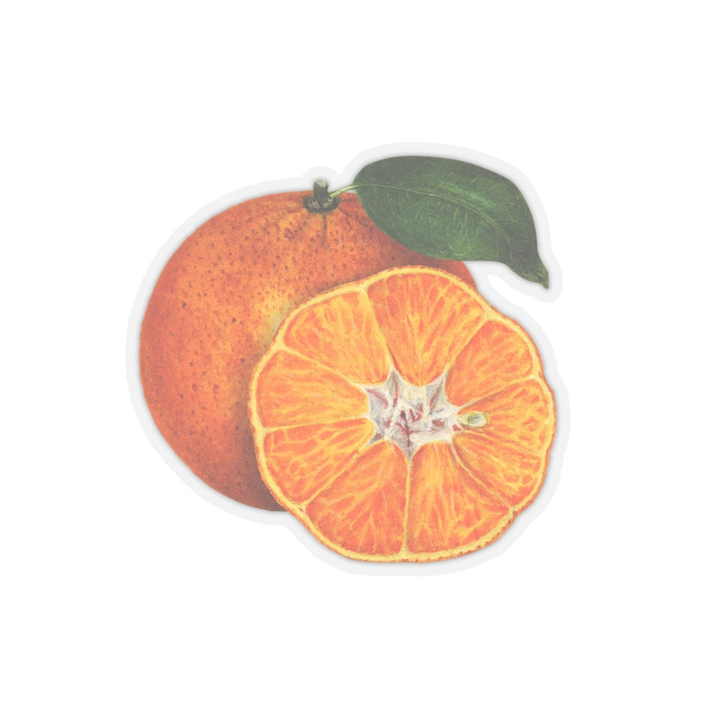 Vintage Citrus Vinyl Sticker | Watercolor Orange & Tangerine Botanical Decal