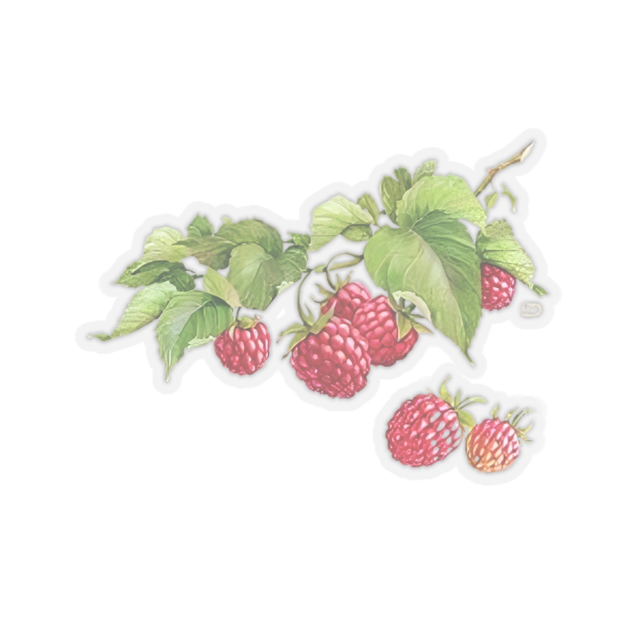 Kiss Cut Sticker Natural Raspberry, Realistic Berry Design with Leaves, Perfect for Laptops, Journals, and Craft Projects
