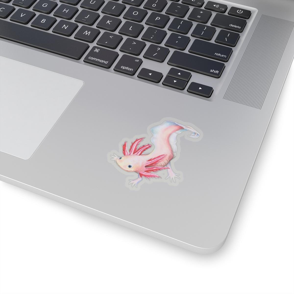 Axolotl Sticker, Laptop Decal, Water Bottle Sticker, Hand Drawn Design, Cute Beautiful Gift, Vinyl Sticker, Eco Friendly