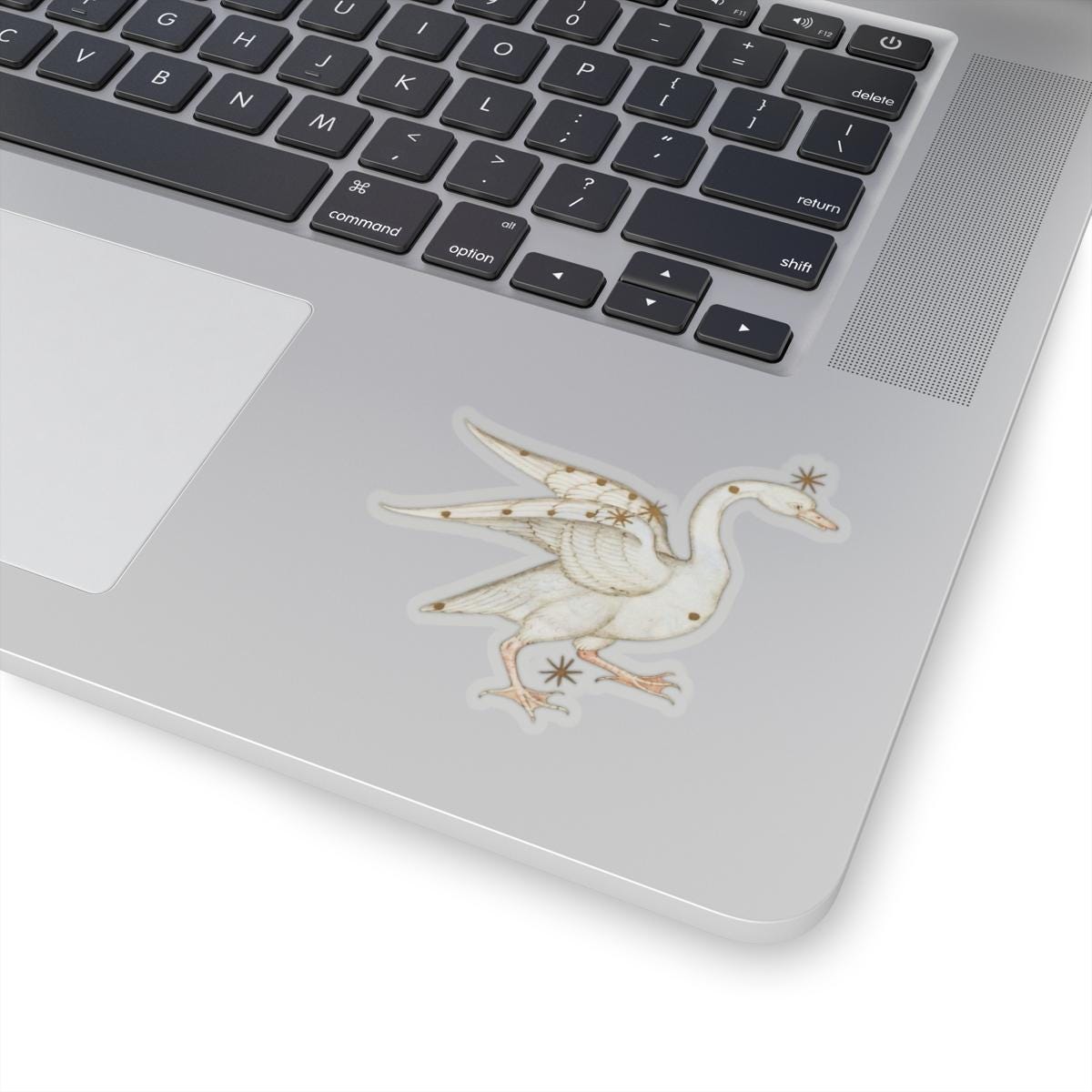 Medieval Art Swan Sticker, Mystical Magical Aesthetic, Cool Decal for Laptops, Water Bottles, Antique Gift