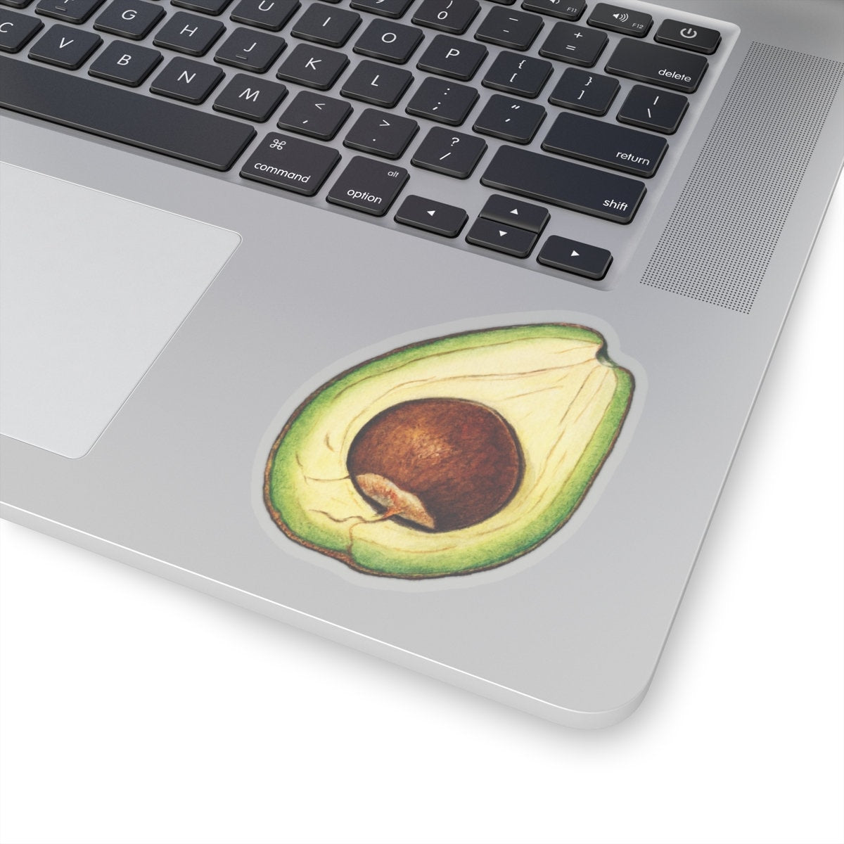 Avocado Sticker, Vintage Watercolor Decal, Fruit Art Drawing, Food themed Adhesive Accessory, Gift for Avocado Lovers