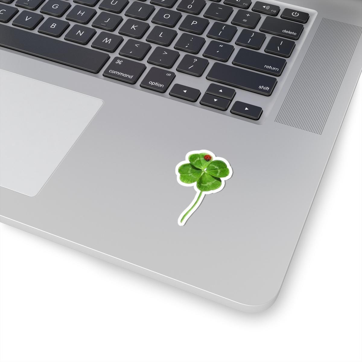 Lucky Clover Sticker, Good Luck Fortune Ladybug Decal, St Patrick Day Gift, Irish Theme, Holiday Decoration, Laptop Water Bottle Kindle