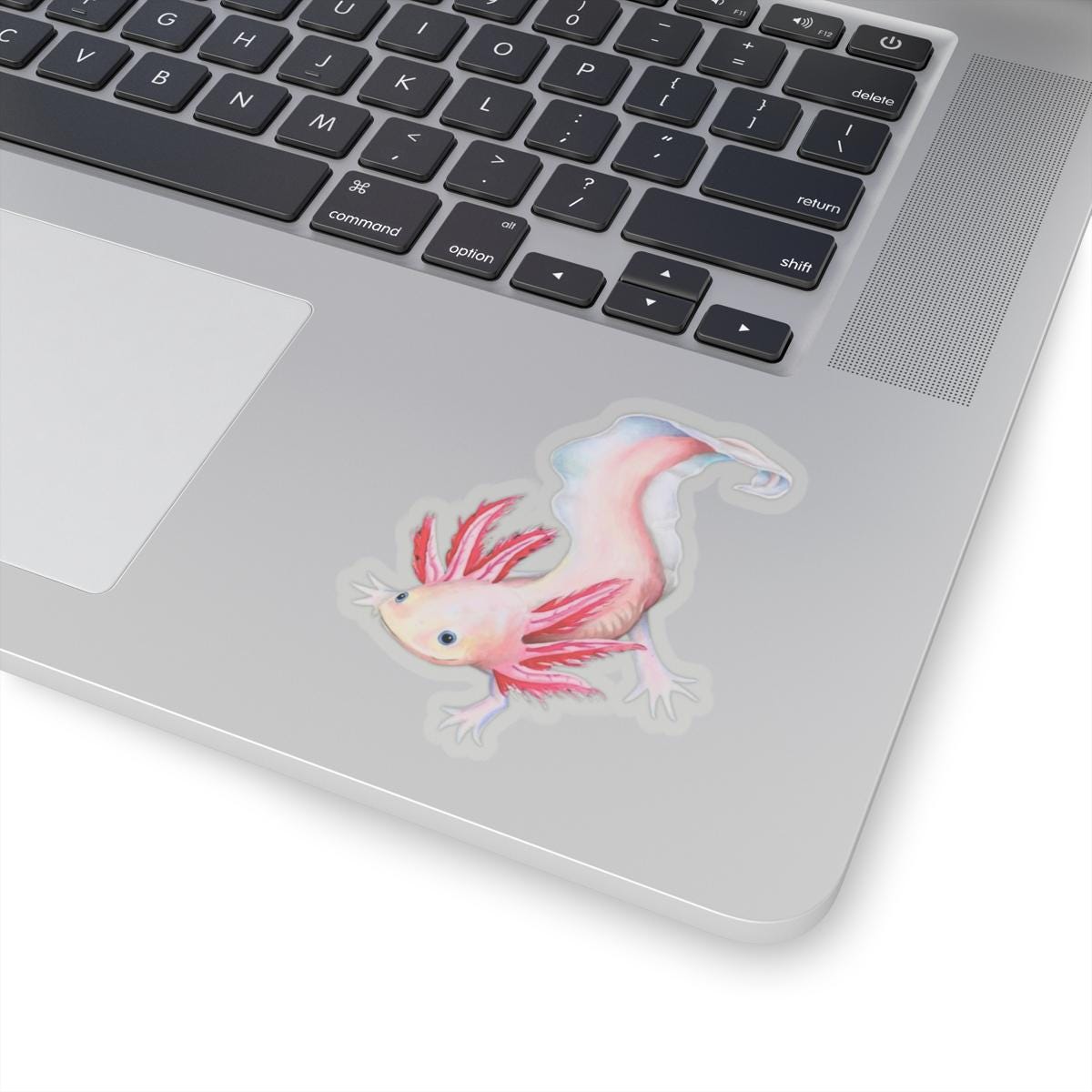 Axolotl Sticker, Laptop Decal, Water Bottle Sticker, Hand Drawn Design, Cute Beautiful Gift, Vinyl Sticker, Eco Friendly