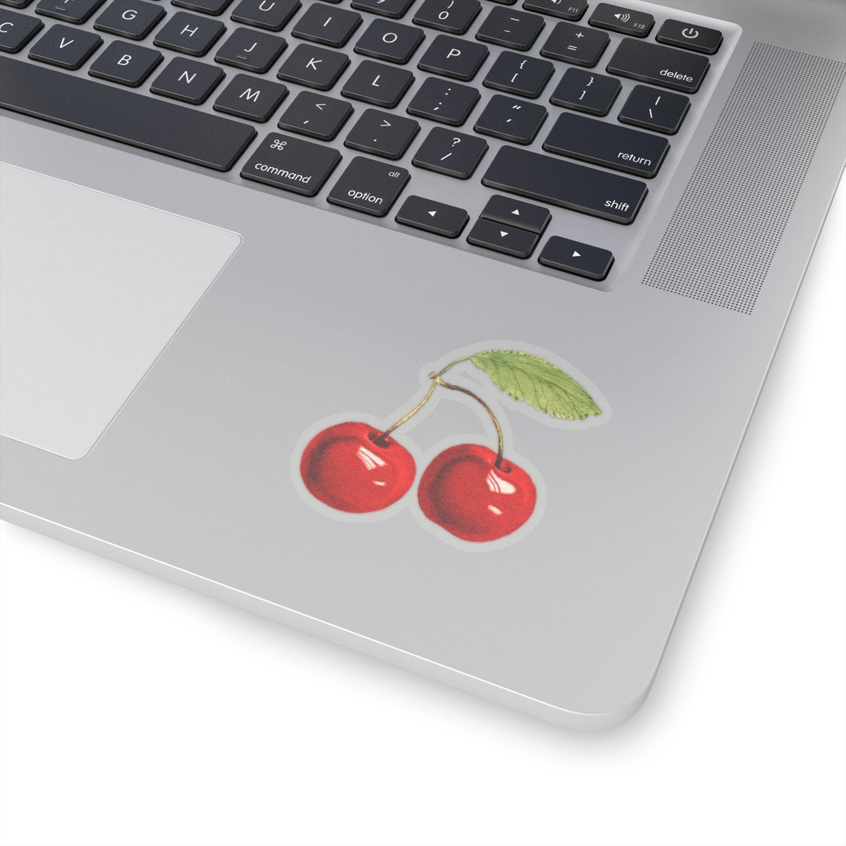 Vintage Red Cherries Botanical Vinyl Sticker – USDA Fruit Art