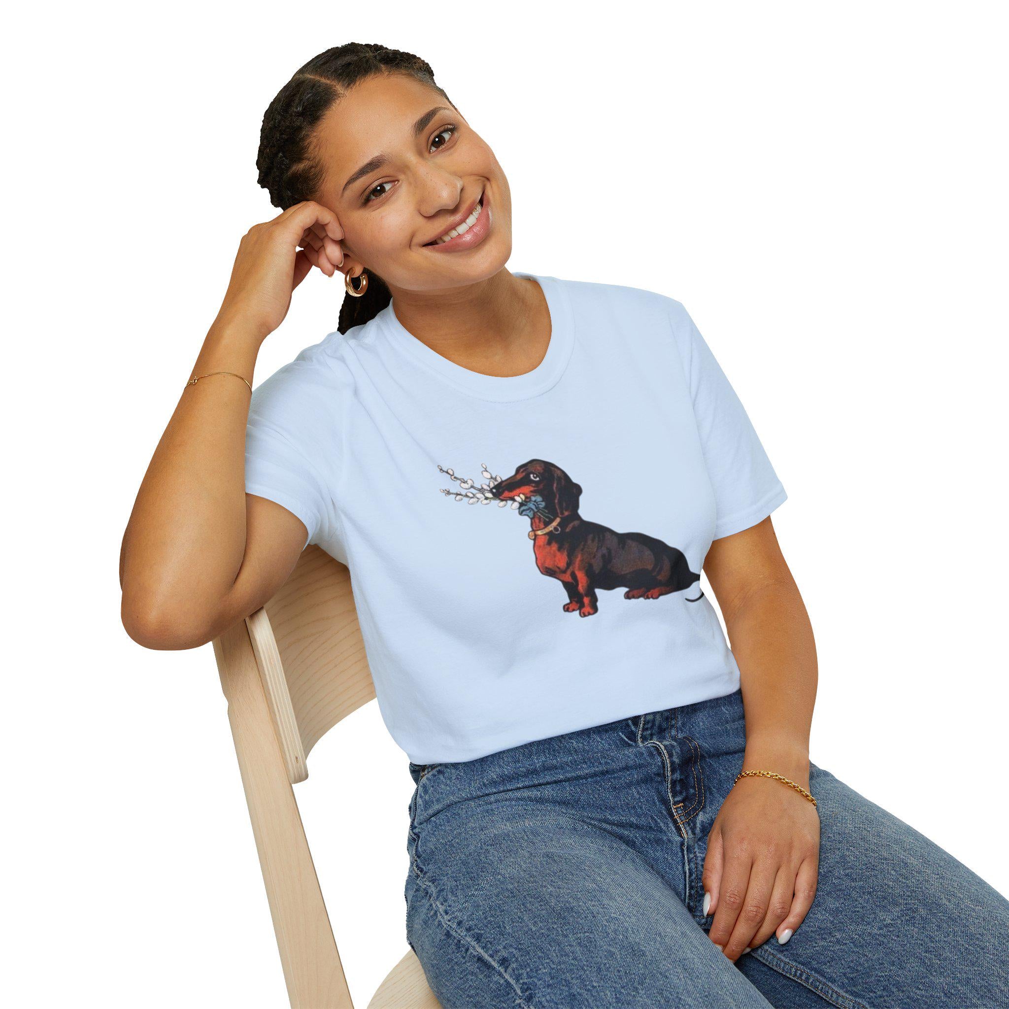 Vintage Dachshund Dog Unisex Softstyle T-Shirt, Cute Pet Lover Tee, Retro Animal Graphic Top, Gift for Dog Owners, Dog Mom Dad Shirt