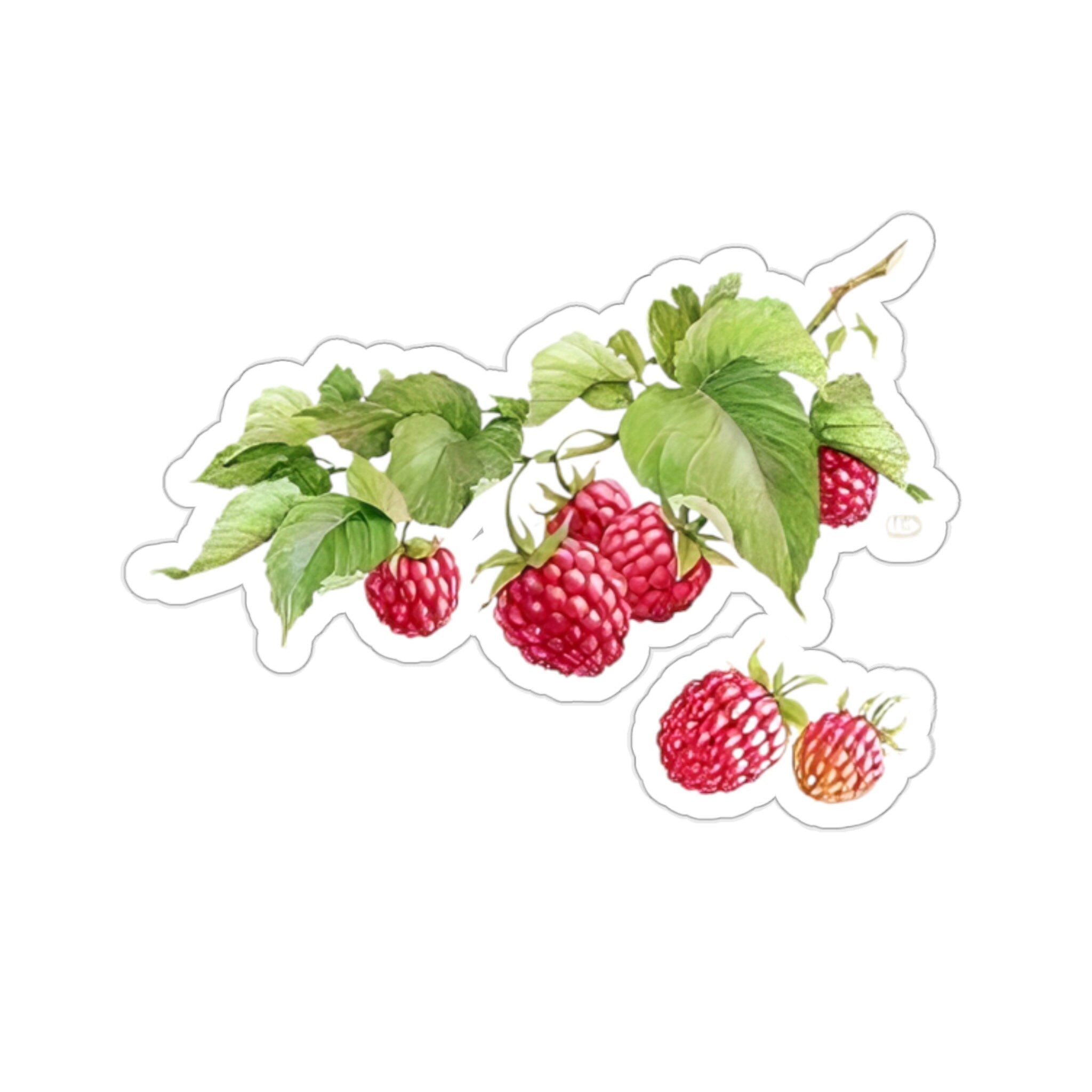 Kiss Cut Sticker Natural Raspberry, Realistic Berry Design with Leaves, Perfect for Laptops, Journals, and Craft Projects