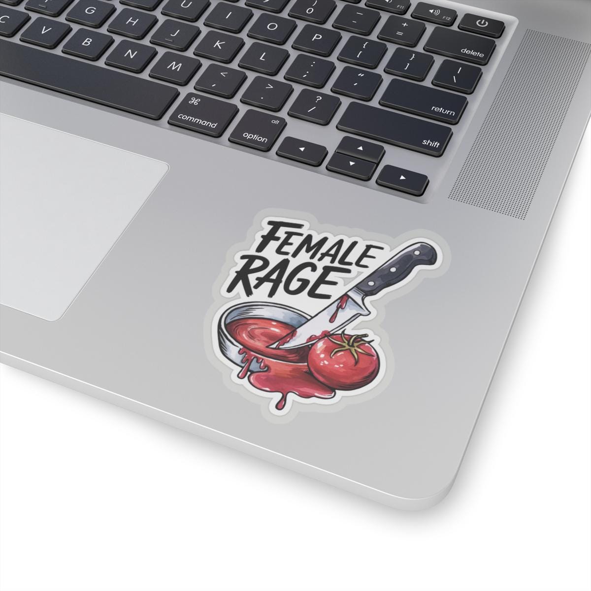 Feminist 'Female Rage' Vinyl Sticker, Bold Empowerment Decal for Laptops and Notebooks